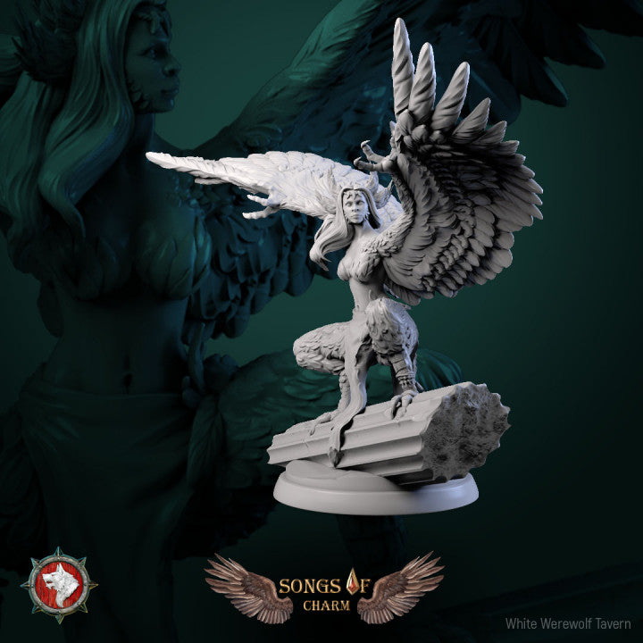 Harpy 03- For D&d Campaigns & Tabletop Games – The Miniatures Tavern