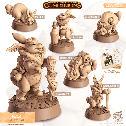 Har the Hare - Companions - Burrowers - For D&D Campaigns & Tabletop Games