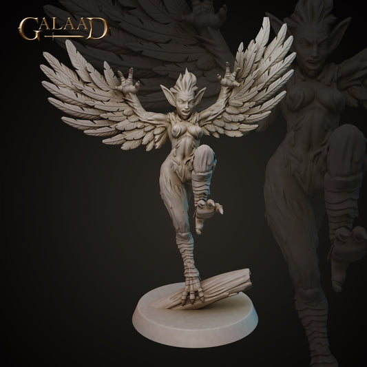 Harpies Set 2 v01: 3D Resin Printed DnD (D&D) Pathfinder Miniatures