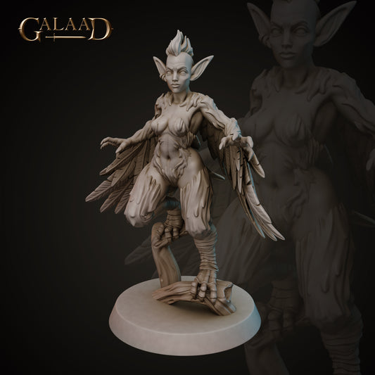 Harpies Set 2 v03: 3D Resin Printed DnD (D&D) Pathfinder Miniatures