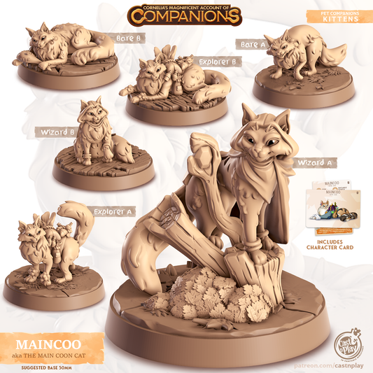 Maincoo the Maine Coon - Companions - Cats - For D&D Campaigns & Tabletop Games
