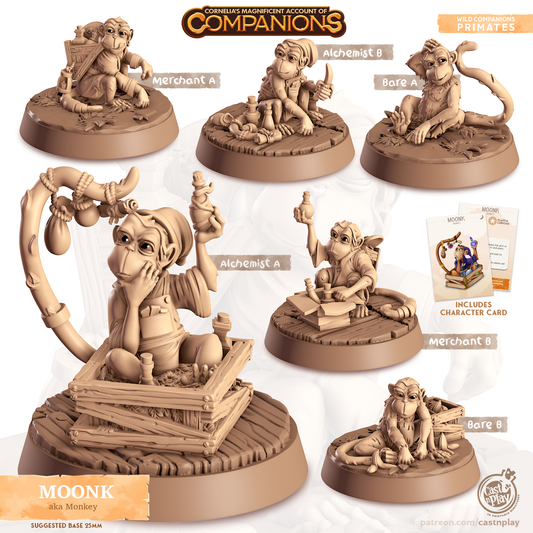 Moonk the Monkey - Companions - Primates - For D&D Campaigns & Tabletop Games