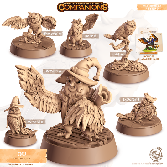 Ou the Owl - Companions - Flyers - For D&D Campaigns & Tabletop Games