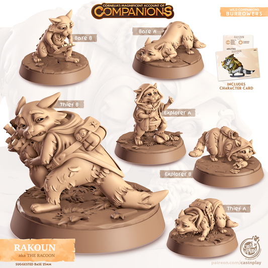 Rakoun the Raccoon - Companions - Burrowers - For D&D Campaigns & Tabletop Games