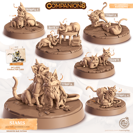 Siams the Siamese - Companions - Cats - For D&D Campaigns & Tabletop Games