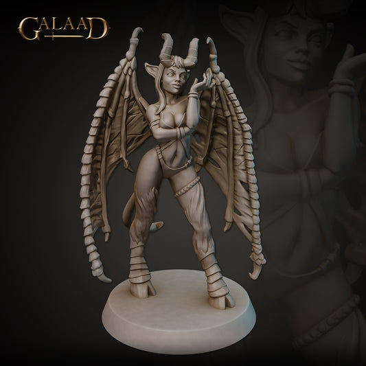 Succubus 01: 3D Resin Printed DnD (D&D) Pathfinder Miniatures