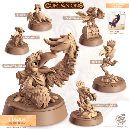 Tukan the Toucan - Companions - Flyers - For D&D Campaigns & Tabletop Games