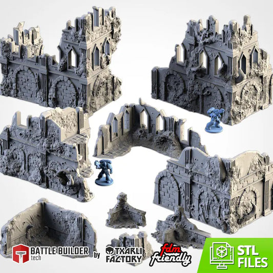 Infected Ruins – Complete Terrain Set for Skirmish Wargames | For D&D Campaigns & Tabletop Games