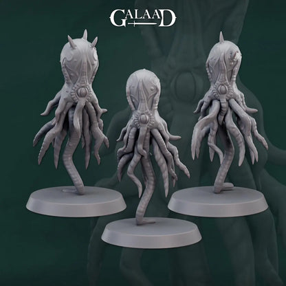 Cursed Cultists Bundle: 3D Resin Printed DnD (D&D) Pathfinder Miniatures