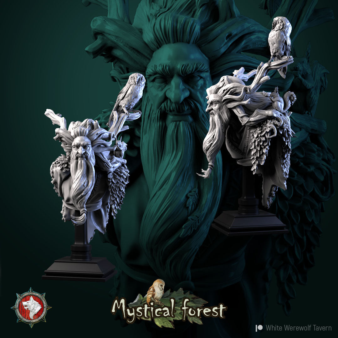 Druid Reidar Show Quality Bust for Display