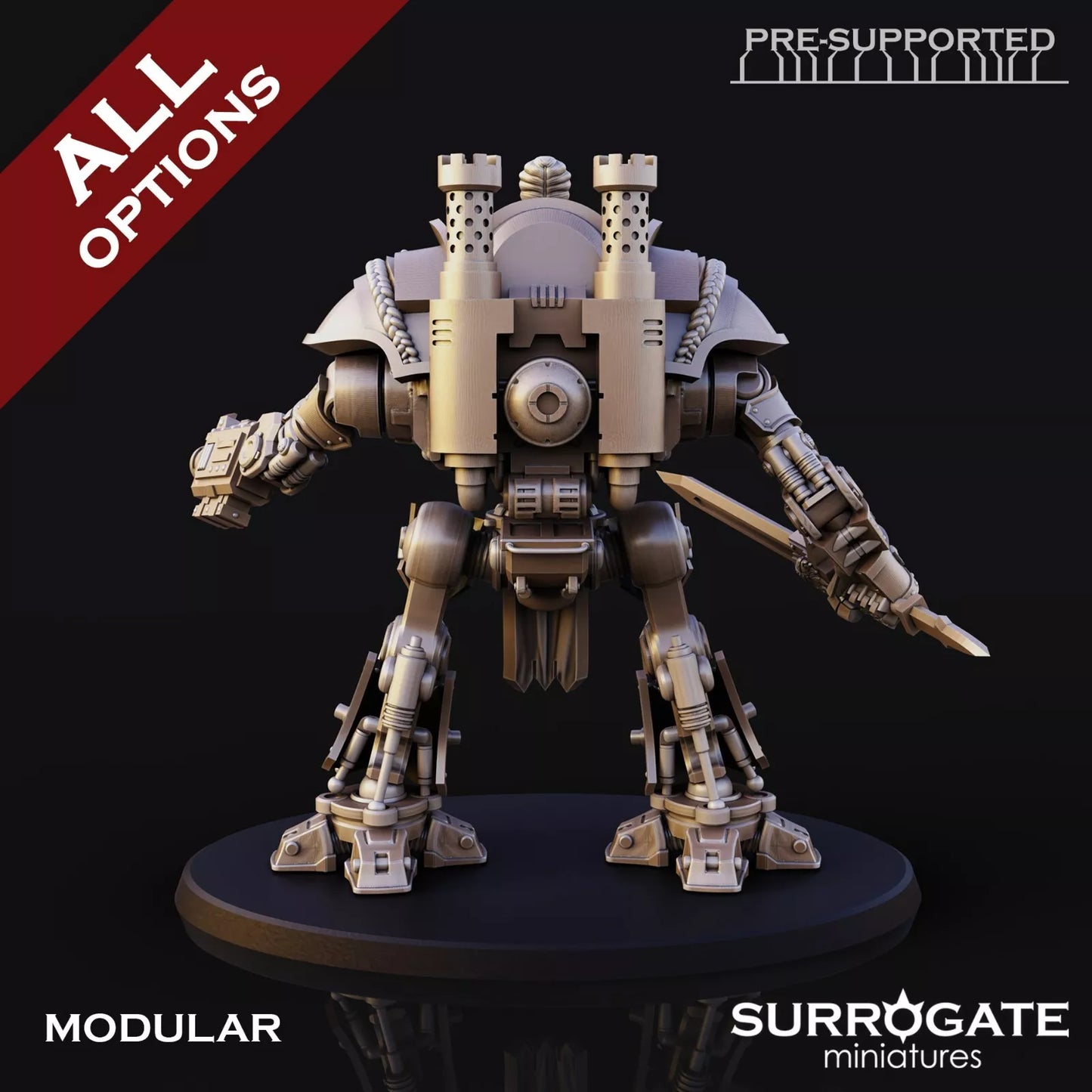 Silver Paladins Golgoth, Surrogate Miniatures | 1 Man Unit