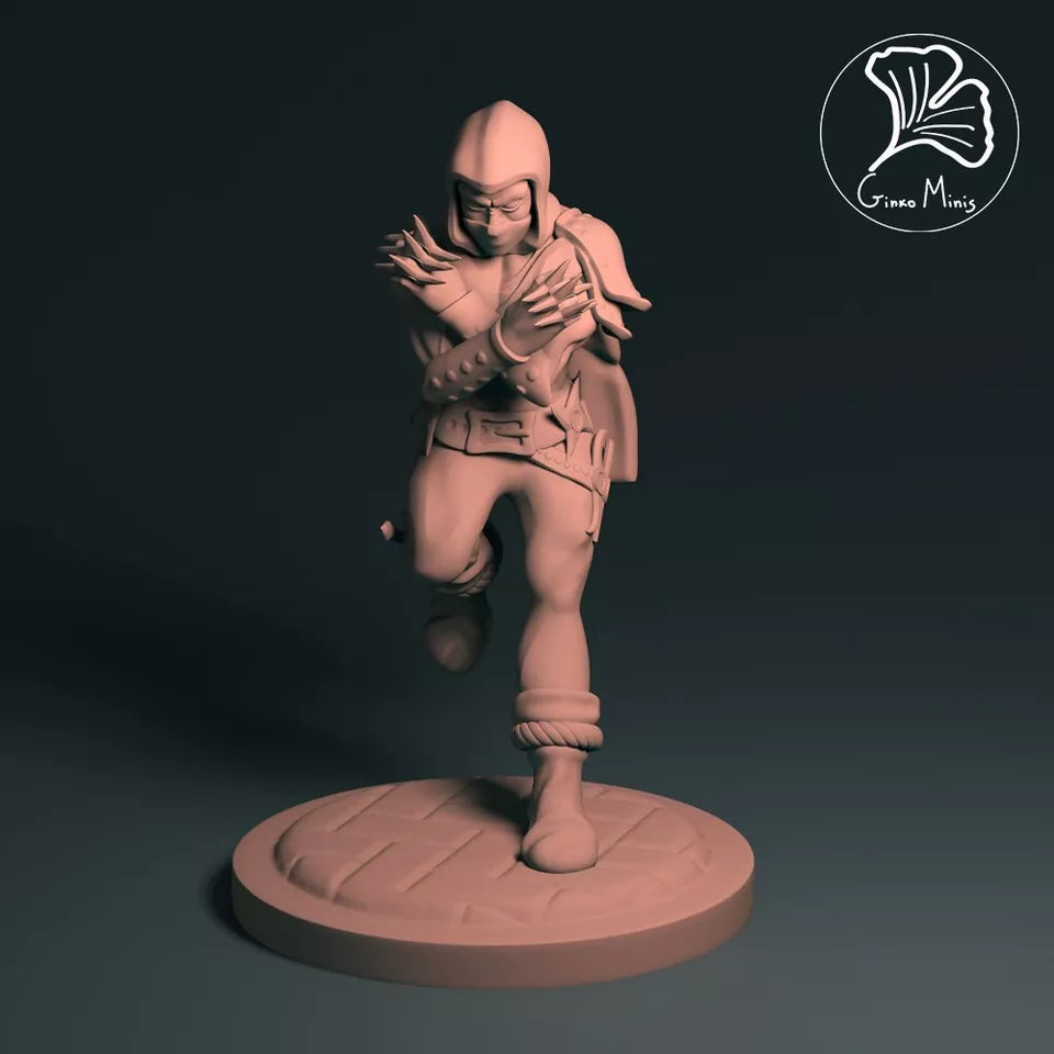 Assassins Bundle | 28mm Miniatures for Roleplaying Games