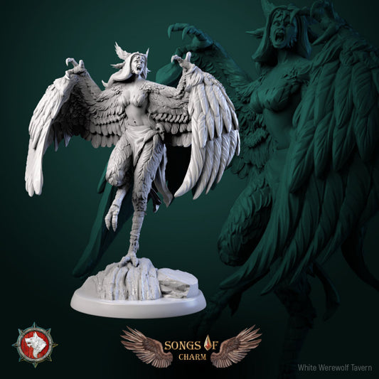 Harpy 01- For D&D Campaigns & Tabletop Games