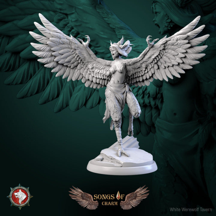 Harpy 02- For D&D Campaigns & Tabletop Games