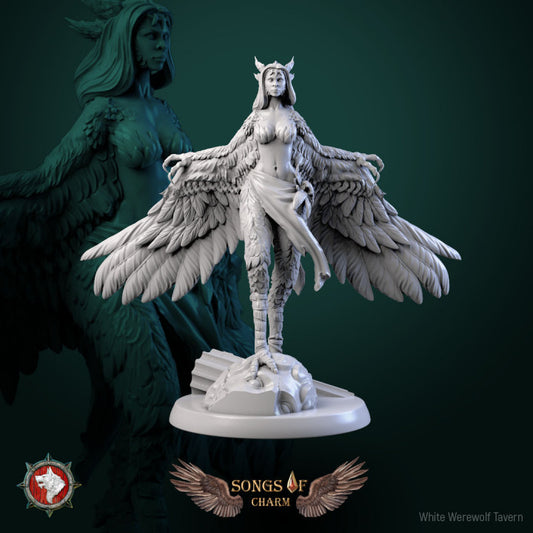 Harpy 06- For D&D Campaigns & Tabletop Games