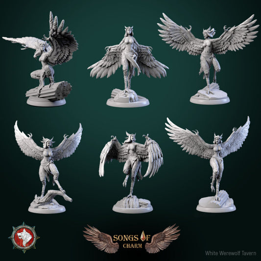 Harpy Set- For D&D Campaigns & Tabletop Games