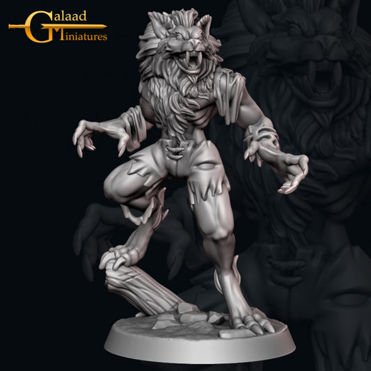 Werewolf -01: 3D Resin Printed DnD (D&D) Pathfinder Miniatures