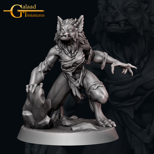 Werewolf -02: 3D Resin Printed DnD (D&D) Pathfinder Miniatures