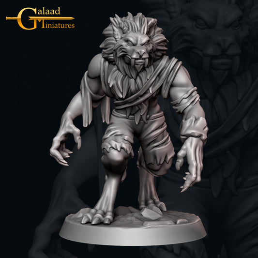 Werewolf -03: 3D Resin Printed DnD (D&D) Pathfinder Miniatures