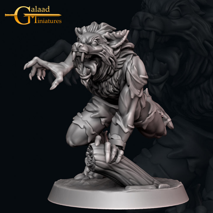 Werewolf -04: 3D Resin Printed DnD (D&D) Pathfinder Miniatures