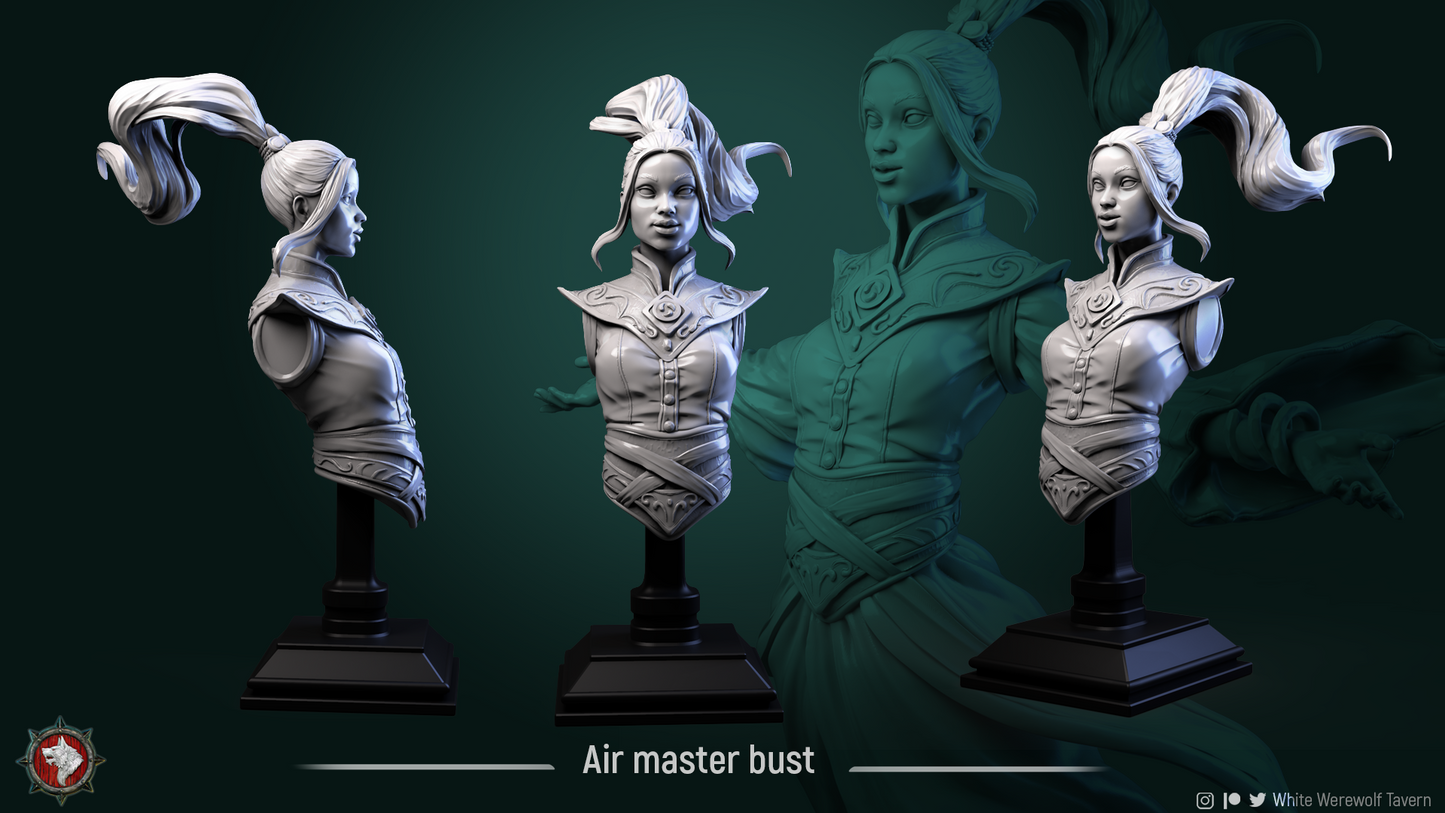 Air Master Show Quality Bust for Display