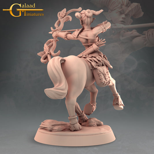 Centaur -01: 3D Resin Printed DnD (D&D) Pathfinder Miniatures