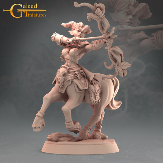 Centaur -01: 3D Resin Printed DnD (D&D) Pathfinder Miniatures