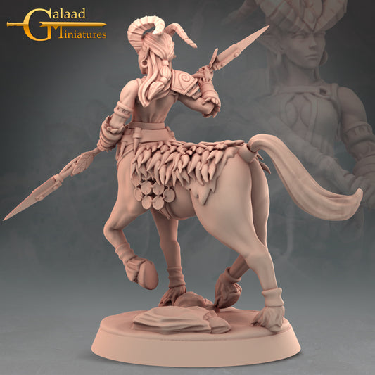 Centaur -02: 3D Resin Printed DnD (D&D) Pathfinder Miniatures