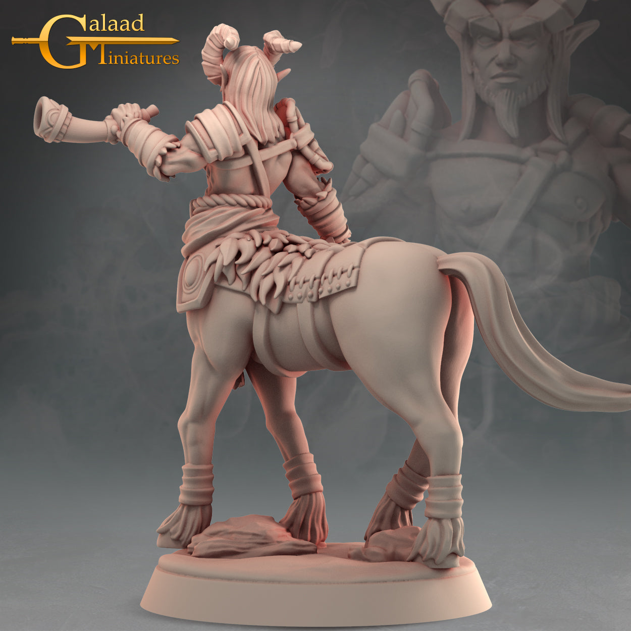 Centaur -04: 3D Resin Printed DnD (D&D) Pathfinder Miniatures