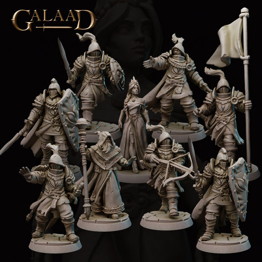 Escort the Queen Set: 3D Resin Printed DnD (D&D) Pathfinder Miniatures
