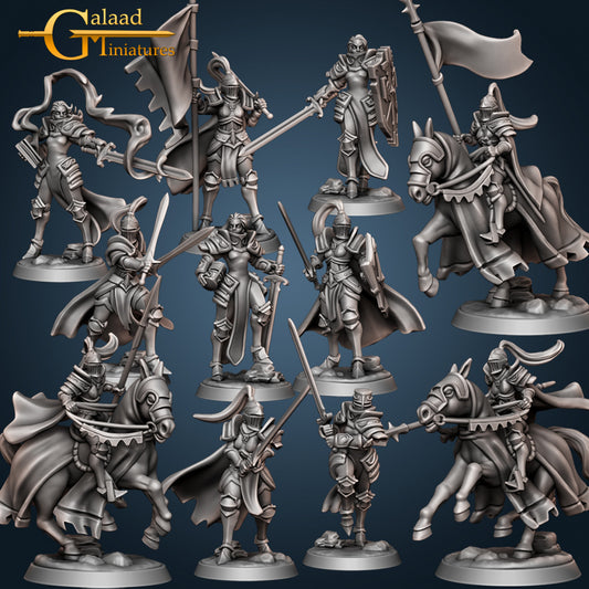 Female Knight Set: 3D Resin Printed DnD (D&D) Pathfinder Miniatures