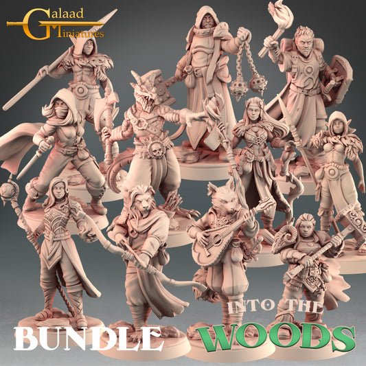 Into the Woods Heroes Set: 3D Resin Printed DnD (D&D) Pathfinder Miniatures