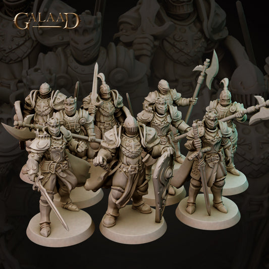 Knights Set -02: 3D Resin Printed DnD (D&D) Pathfinder Miniatures