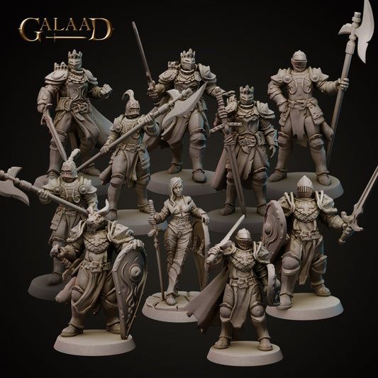 Knights Set: 3D Resin Printed DnD (D&D) Pathfinder Miniatures