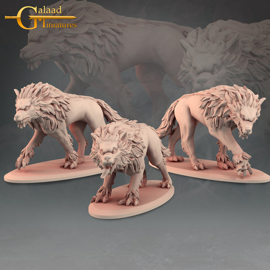 Wolves 3 Pack: 3D Resin Printed DnD (D&D) Pathfinder Miniatures