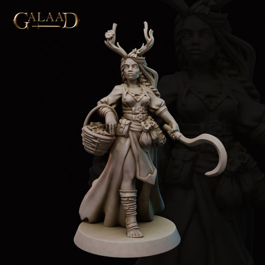 Druid:  3D Resin Printed DnD (D&D) Pathfinder Miniatures