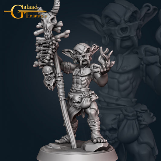 Goblin Shaman: For D&D Campaigns & Tabletop Games