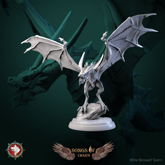 Wyvern 01- For D&D Campaigns & Tabletop Games